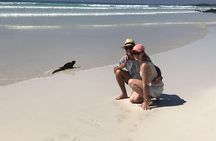 12-Day Galapagos Superior Adventure (Tourist Class)