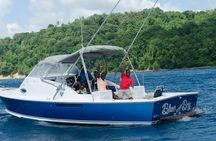 Private Custom Coastal Cruise St. Lucia Half Day