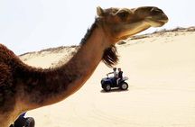 1h quad bike on the beach