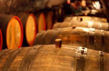Private Lake Balaton Experience with an unforgettable Wine Tasting