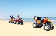 1h quad bike on the beach