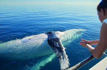 Galle Day Trip From Colombo