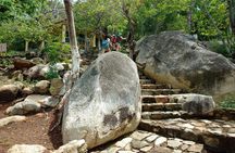 Palma Sola Secrets Petroglyphs Culture & Market Flavors withLunch