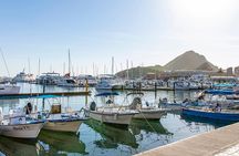 Land’s End Experience – Arch, Beaches & Marine Life