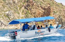 Land’s End Experience – Arch, Beaches & Marine Life