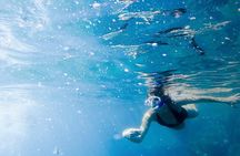 Snorkel Tour and Glass-Bottom Boat Ride in Cabo San Lucas