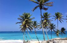 Private Half-Day Barbados Excursion With Entrance Fee Discounts