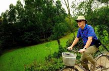 Hanoi: Duong Lam Historical Village Private Day Tour