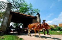 Hanoi: Duong Lam Historical Village Private Day Tour