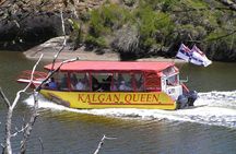 Kalgan Queen Scenic Cruises a four hour sheltered water wildlife tour daily fun.