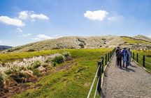 5-Hour Vegetarian Private Tour - Visit Yangmingshan and Taste Veggie Cuisine