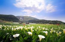 5-Hour Vegetarian Private Tour - Visit Yangmingshan and Taste Veggie Cuisine