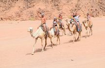 Sharm El Sheikh Desert Adventure (5X1)