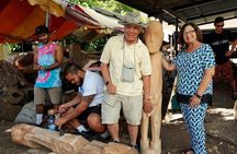 Unique Tahiti Tour - personalised, small group west coast tour