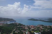 Shore Excursion: Small Group St Thomas Highlights Tour