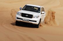 Premium Red Dune Desert Safari,BBQ dinner, camel ride, live show at Majilis camp