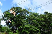 Shore Excursion: Zip Line Adventure