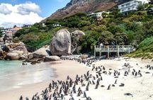 Breath-taking Cape Peninsula Tour 