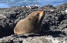 6-Day Galapagos Superior Adventure (Tourist Superior Class)