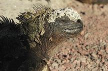 6-Day Galapagos Superior Adventure (Tourist Superior Class)