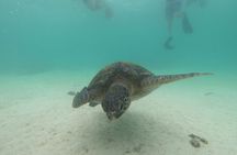 6-Day Galapagos Superior Adventure (Tourist Superior Class)