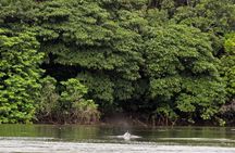 4-Day Trip: Cuyabeno Amazon Experience