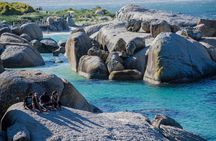 Half day am or pm Boulders Beach & Penguins with visit to Cape Point Great tour