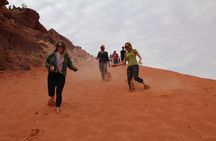  Day Tour in Jeep Tour with Bedouin Guide