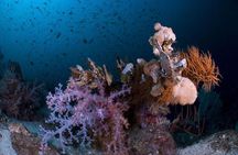 Learn to dive in 2 days Scuba Diver course