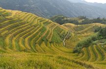 Private Day Tour: Longji Rice Terraces and Long Hair Village