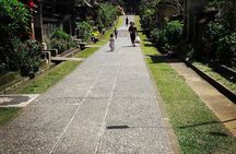 A Day Trip to Tukad Cepung & Rice Terrace