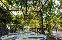 Pompeii Vineyard Escape: Private Wine Tasting & Lunch