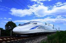 Wuxi Lingshan Buddhist Scenic Spot Private Tour from Shanghai by Bullet Train