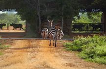 Private 3 Day Tsavo East Safari from Mombasa