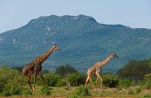 Private 3 Day Tsavo East Safari from Mombasa