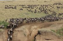 3 Days Masaai Mara Joining Safari