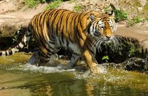 Private Corbett National Park & Nainital Tour from New Delhi