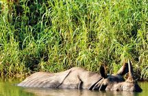 Kathmandu Chitwan Lumbini Pokhara Tours