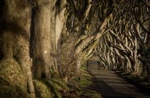 Giant's Causeway and more including Titanic Experience Ticket Tour from Belfast