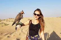 Desert Safari Dubai pickup & Drop off By Land Cruiser 