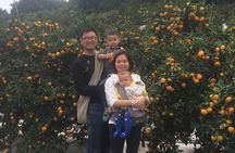 Jeju Island Private Taxi Tour : 2 Full days