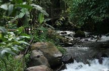 Mindo Cloud Forest & Adventure Tour 