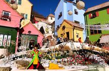 Nami Island & Petite France & Italian Village & Gangchon Rail Bike One-Day Tour
