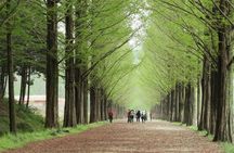 Nami Island & Petite France & Italian Village & Gangchon Rail Bike One-Day Tour