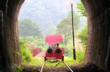 Nami Island & Garden of Morning Calm & Gangchon Railbike Tour