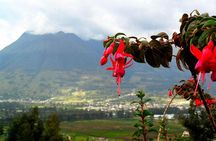 Ecuador Gateway 5 Days Tour