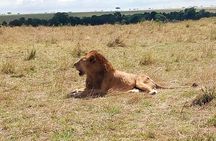 3 days Maasai Mara safari from Nairobi