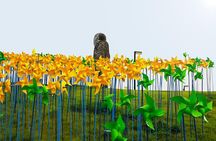 3D Private Seoul Highlight tours with DMZ & Korean Folk Village 