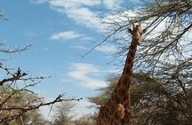 Tsavo East & west, Amboseli 5days from Mombasa
