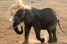 4-Days Great Amboseli, Tsavo East & West Safari Kenya